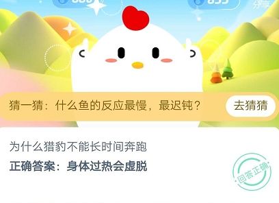 为什么猎豹不能长时间奔跑?2020蚂蚁庄园6月12日答案