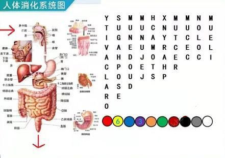 犯罪大师密室逃脱答案一览 犯罪大师密室逃脱答案是什么