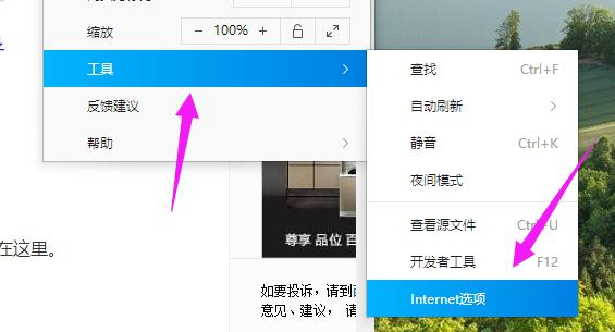 Win10专业版IE浏览器故障怎么修复？Win10专业版IE浏览器故障修复 软件教程