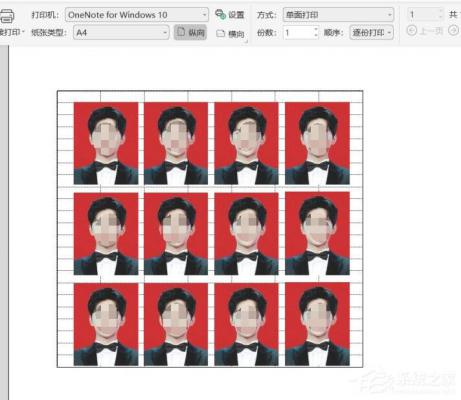 wps表格怎么打印证件照？教你一招轻松打印一寸和两寸证件照！ 软件教程
