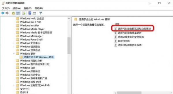 怎么阻止更新至Win10 20H2？ 软件教程