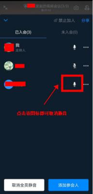 钉钉视频会议全员静音后如何让参与人员单独发言？ 软件教程