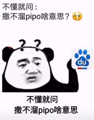 抖音你个撒不溜pipo梗意思介绍-你个撒不溜pipo是什么梗