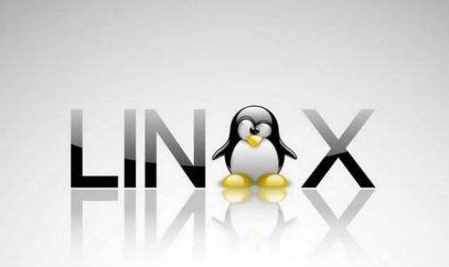 Linux是什么？它是哪个国家开发的 软件教程