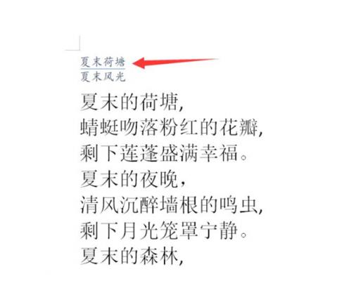 Word文档中怎么设置双行合一 软件教程