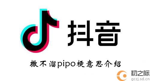 抖音撒不溜pipo梗意思介绍-撒不溜pipo啥意思