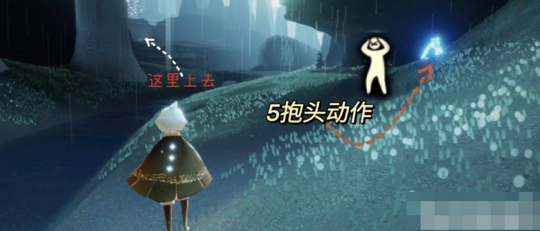 光遇雨林的先祖都在哪里？光遇雨林先祖位置！