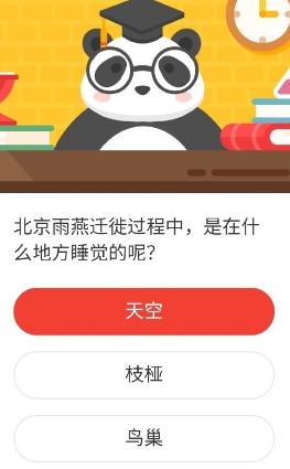 游戏新闻 北京雨燕迁徙过程是在啥地方睡觉的呢 2020森林驿站8.5答案