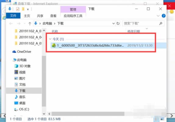 Win10专业版IE浏览器下载的文件在哪？ 软件教程