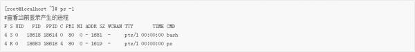 Linux新手入门 PS命令查看正在运行的进程 软件教程