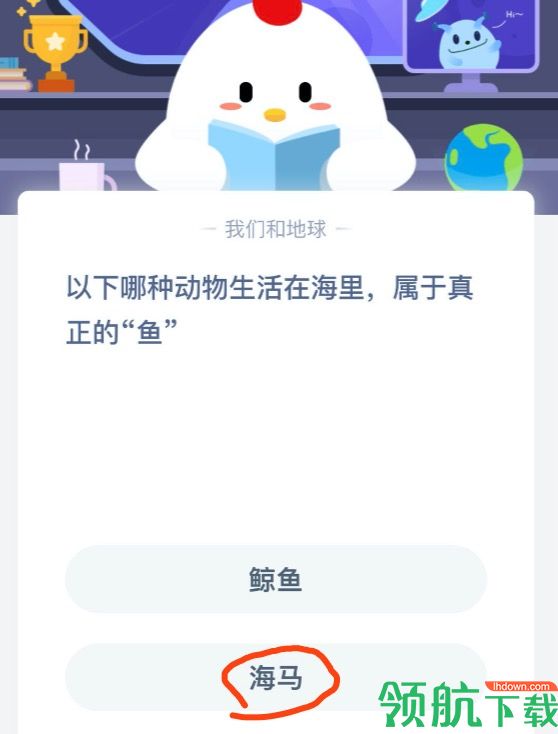 游戏新闻 哪种动物生活在海里属于真正的鱼?2020蚂蚁庄园5.22日答案