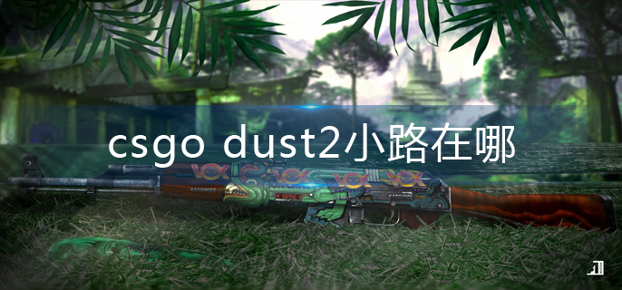 csgo手游：dust2小路位置在哪：csgo手游：dust2小路位置分布图一览