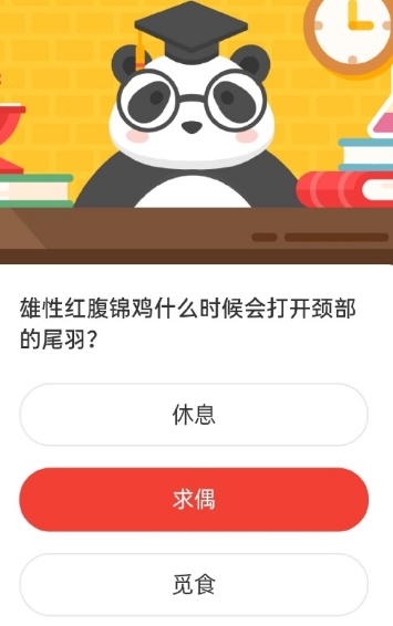 游戏新闻 雄性红腹锦鸡什么时候会打开颈部的尾羽2020森林驿站5.29答案