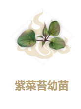 妄想山海紫菜苔幼苗合成方法介绍-妄想山海种子紫菜苔幼苗如何合成