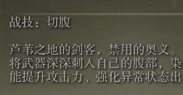 《艾尔登法环》盾牌长枪戳刺流如何配装 《艾尔登法环》盾牌长枪戳刺流装备推荐