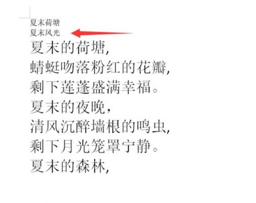 Word文档中怎么设置双行合一 软件教程