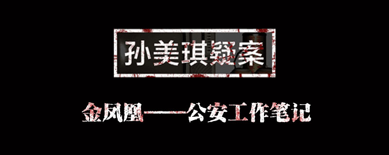 金凤凰公安工作笔记位置介绍 孙美琪疑案金凤凰公安工作笔记在哪