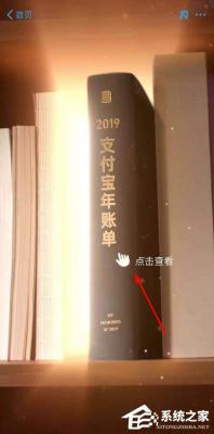 支付宝2019年账单怎么查看？查看支付宝2019年账单的方法 软件教程