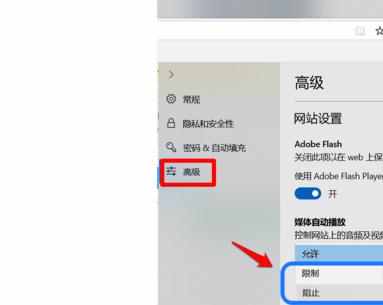 Windows10系统如何彻底关闭所有广告？ 软件教程