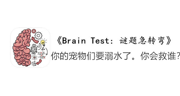 BrainTest谜题急转弯第一百七十四关通关攻略-你的宠物们要溺水了