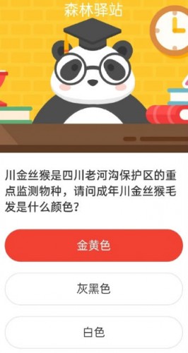 成年川金丝猴毛发是啥颜色 2020森林驿站7.8日森林小课堂答案