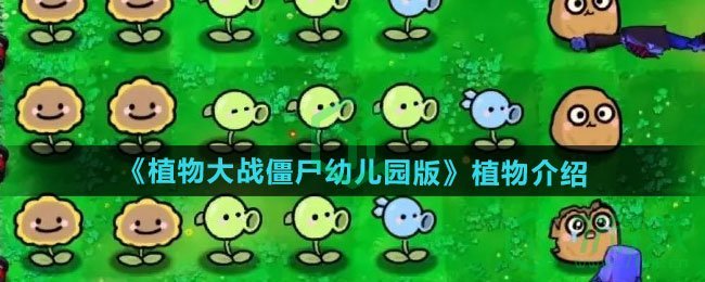 pvz幼儿园版游戏植物介绍 植物大战僵尸幼儿园版有哪些植物