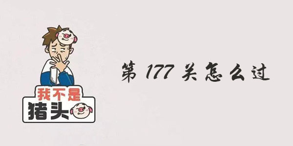 我不是猪头第177关攻略 我不是猪头第177关怎么过