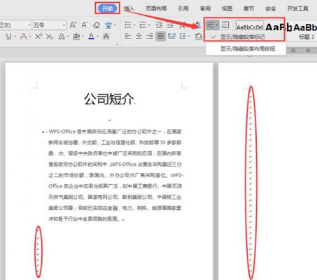 怎么删除WPS文档中多余的空白页？ 软件教程